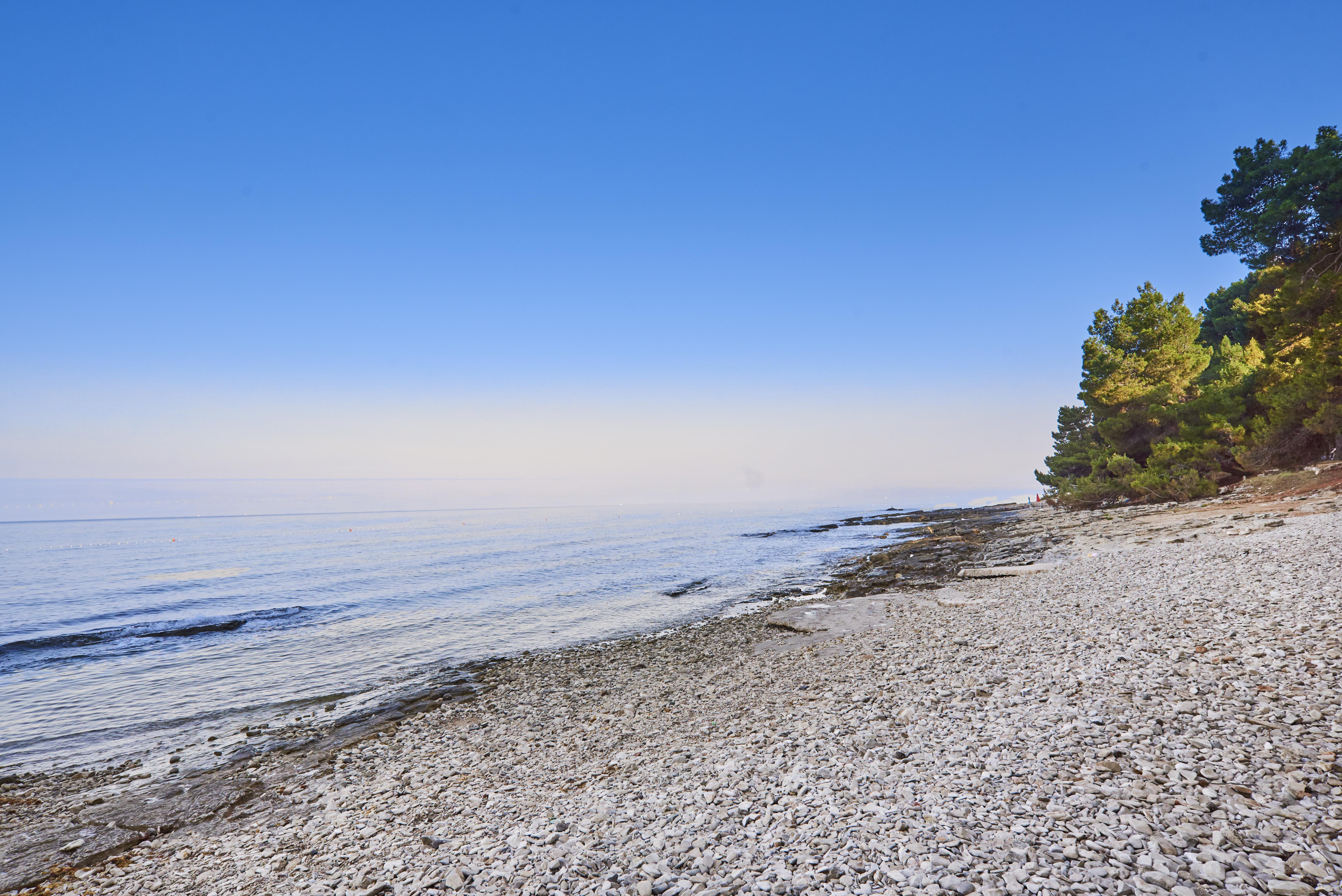 Apartments Savudrija Plava Laguna Umag Eksteriør bilde